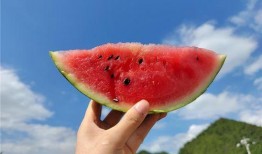 2022吃瓜,笑料百出，揭秘娱乐圈风云